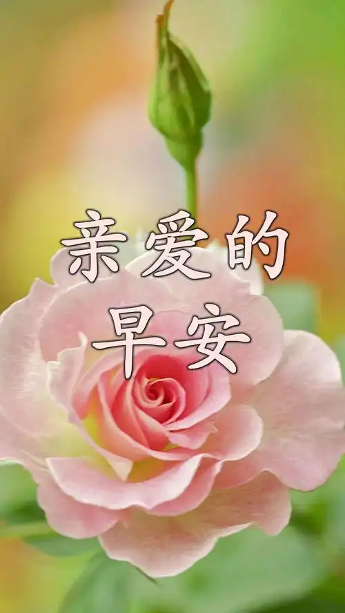  2021寒冬早上好动图表情包图片带字,冬天早安问候祝福语图片大全
