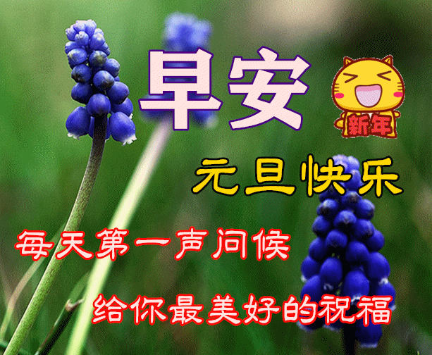 2022年1月1日元旦早上好问候祝福动态表情图片大全2022最新早安问候语动态图片表情  2022年1月1日元旦早上好问候祝福动态表情图片大全2022最新早安问候语动态图片表情