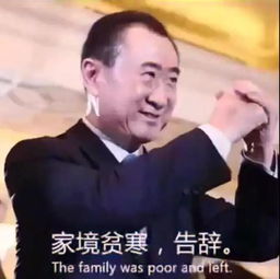 有钱的表情包王健林