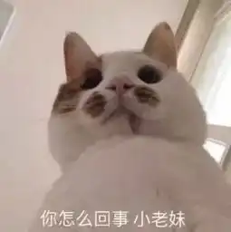  唐嫣罗晋大婚我劝你别看了,看得再多你也还是单身狗