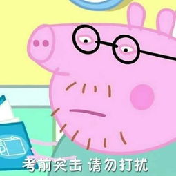 猪和猪亲吻表情包考前