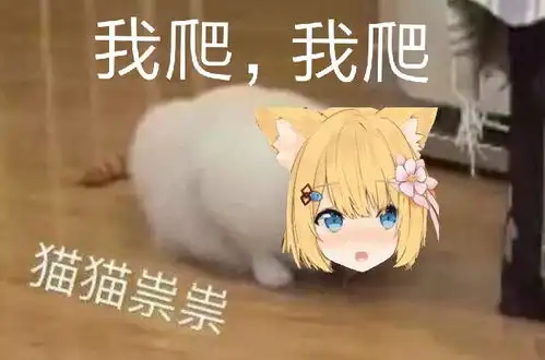  花园猫serena,猫猫头,动漫表情包