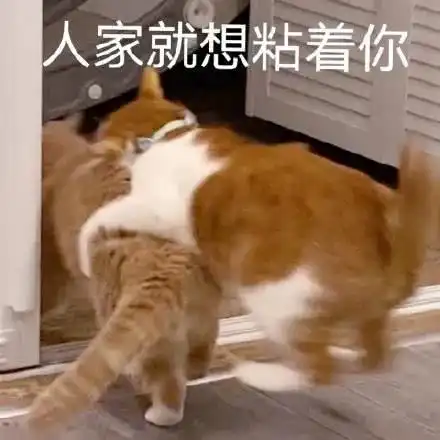  可爱系列表情包我不想上班,我不去
