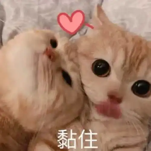 秒杀朋友圈教你做微信彩色发光昵称