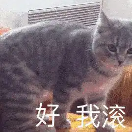  幽默搞笑老婆真的不能太宠,不然会难以沟通