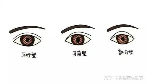  你喜欢单眼皮的女生吗