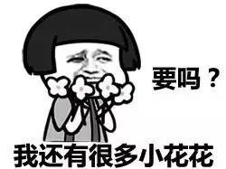  风尚叮咚贴心仙人掌小管家来为你换新衣服啦