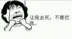  聊天斗图表情包哥哥我投降