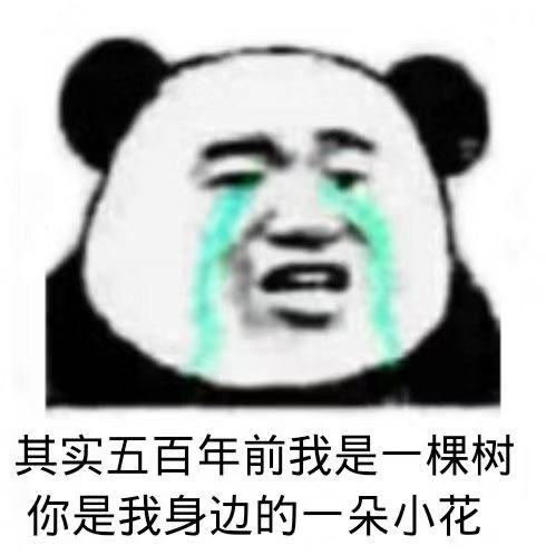 表情其实五百年前我是一棵树你是我身边的一表情