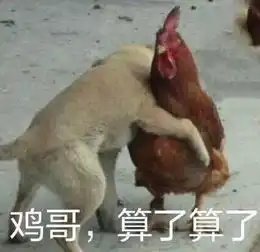 过了表情包鸡年