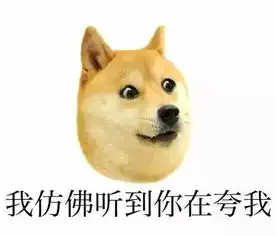  超级爱拆家的汪星人,还有救吗