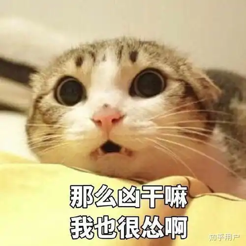 魔性真人笑容表情包拜年
