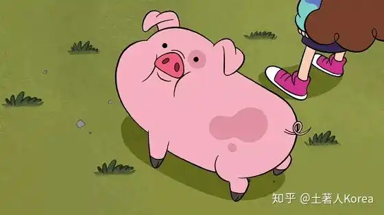 小黄脸表情包花棉袄花猪