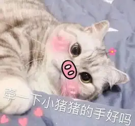  土味情话表情包,我喜欢你已经不适合撩妹了,撩到ta受不了