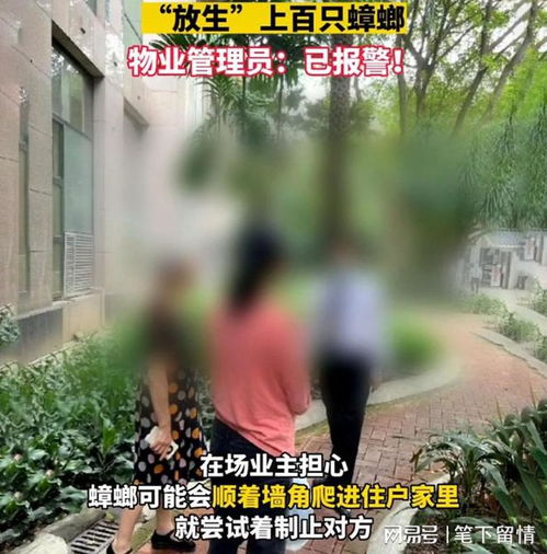  奇葩的放生,女子小区内放生五盒蟑螂被制止