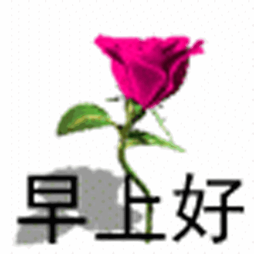  100张早上好表情包,让你100天的问候不重样赶快收藏转发吧