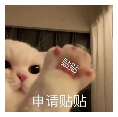  表情包一组有趣的表情包50期