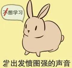  你的寒假余额还剩多少
