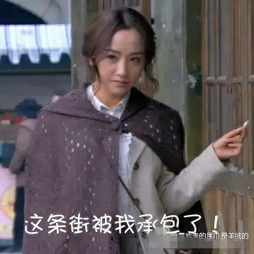  千金女贼杨蓉颜艺丰富粉丝收集表情包