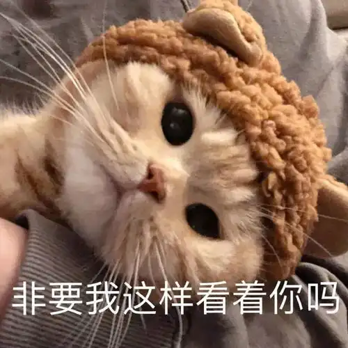 憨憨表情包图片钟启烨