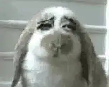  怕脱妆夏日必备的持妆产品都在这里