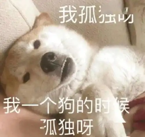  表情包您请便