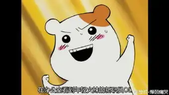 抱表情包可爱瓜子