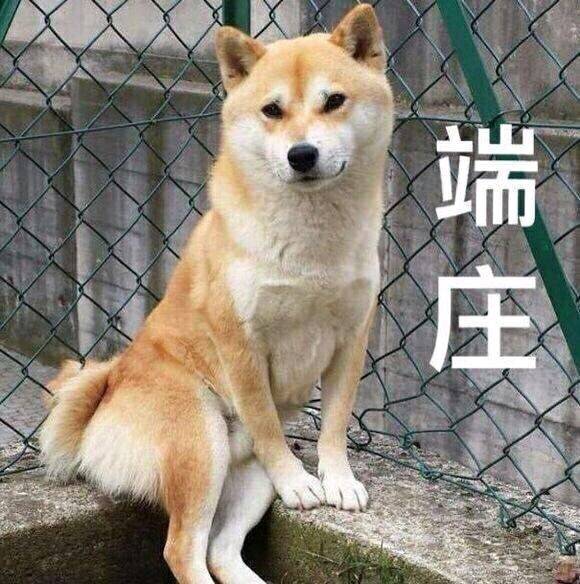 不理性的理性人假设