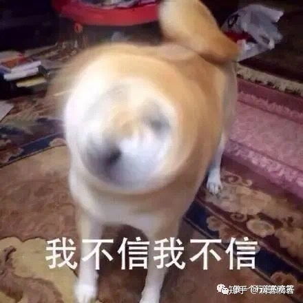  遛狗,养龙真的能赚钱吗