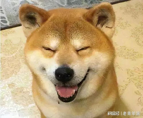  三寸蛇直播骂人视频被曝,网友笑称老姜有你这种粉丝,真倒霉