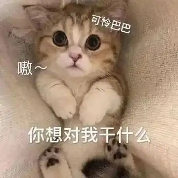  表情包来啊,官人