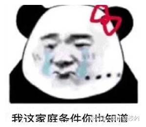  表情猫猫表情包