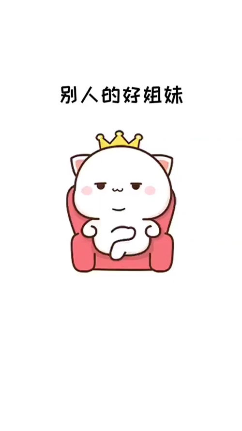  别人的小姐妹表情包搞笑视频经典段子情侣夫妻