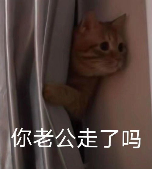 一把年纪可爱表情包可爱