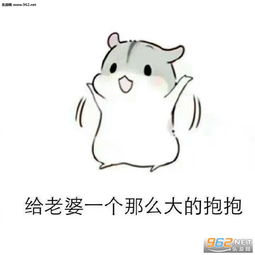 给老婆一个那么大的抱抱仓鼠图片仓鼠甜蜜话语表情包下载乐游网游戏下载