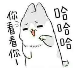  这个qq表情兔子叫什么