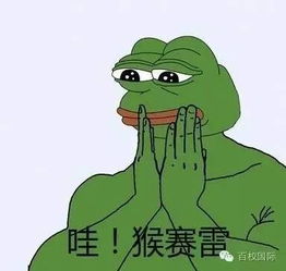  大王带你去巡山24什么是真正的国际化人才3