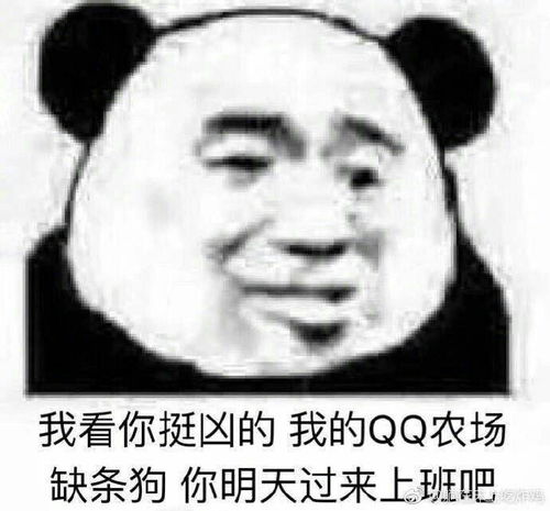  有哪些可可爱爱的沙雕句和表情包