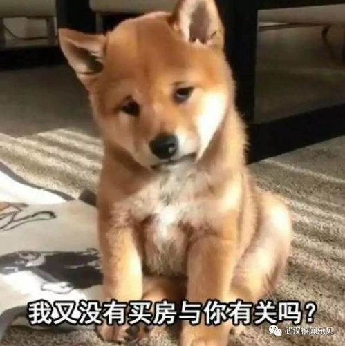  妈,我连对象都冇得,想辣么多做么斯