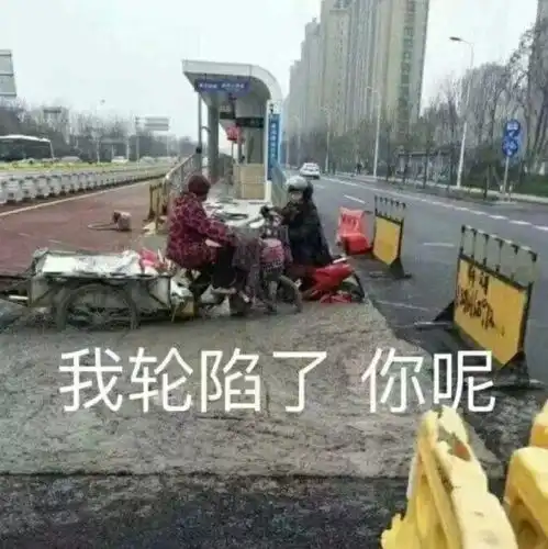  白鸽惠递出来挨锤