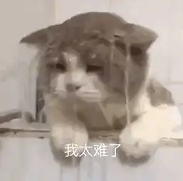  在成年人的世界里,钱就是你我之间最大的差距