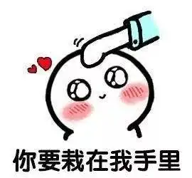  浪漫七夕青瓦房又有新玩意,七夕带上ta一起来个浪漫水上之游吧