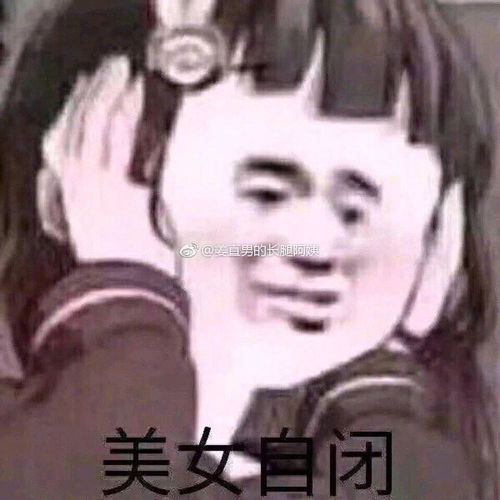  车收藏夹