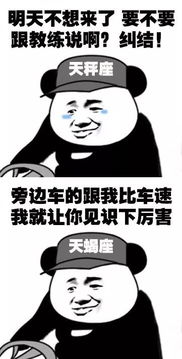  12星座驾校学车的区别,来来来,对号入座哈哈哈哈哈哈