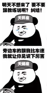  12星座驾校学车的区别,来来来,对号入座哈哈哈哈哈哈