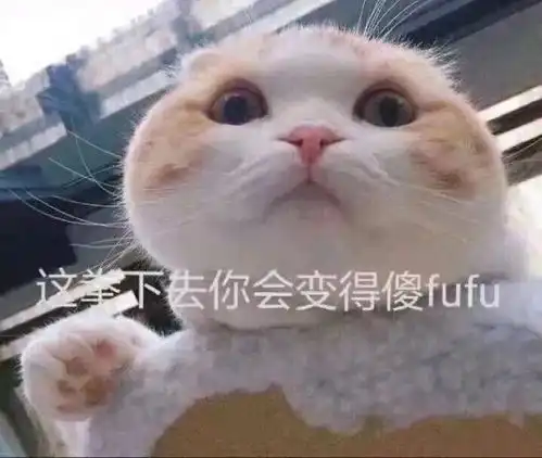  表情包你再凶我一下试试