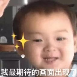  宋民国表情包我是老实人