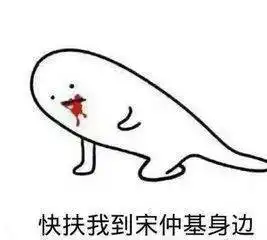  cp粉扬眉吐气宋慧乔宋仲基要结婚了