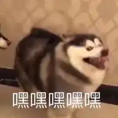  不会秀恩爱16对情侣手把手教你在剑门关拍七夕大片