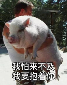  超级搞笑的段子,我tm真的要笑岔气了哈哈哈哈哈哈哈哈哈哈哈哈